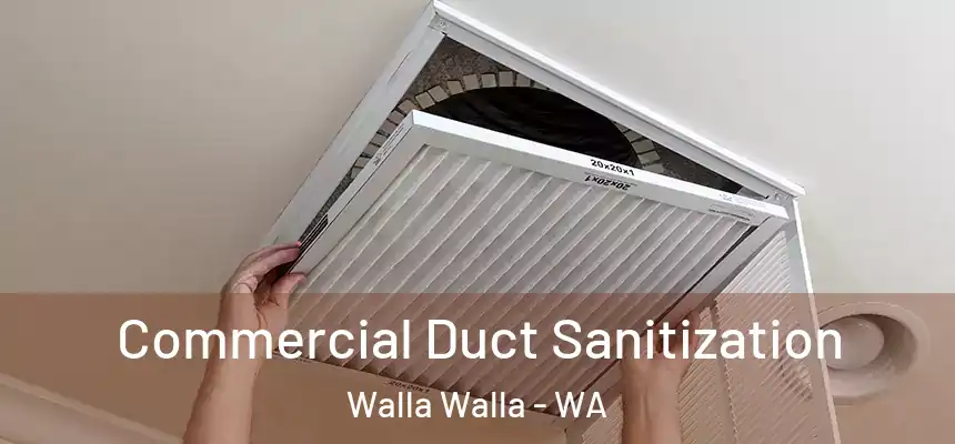  Commercial Duct Sanitization Walla Walla - WA