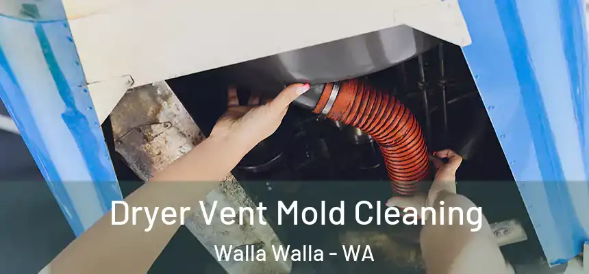  Dryer Vent Mold Cleaning Walla Walla - WA
