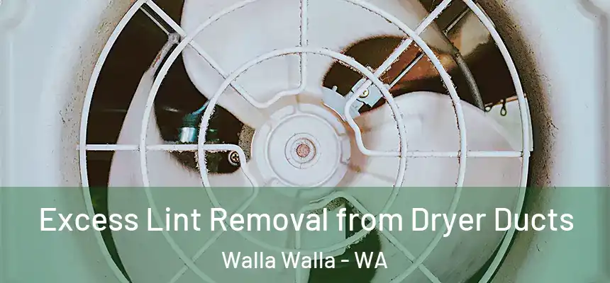Excess Lint Removal from Dryer Ducts Walla Walla - WA