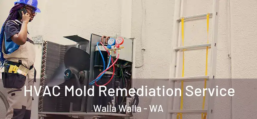  HVAC Mold Remediation Service Walla Walla - WA