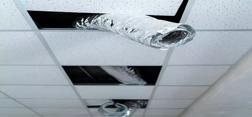 Our Air Duct Pet Hair Removal Services in Walla Walla, WA