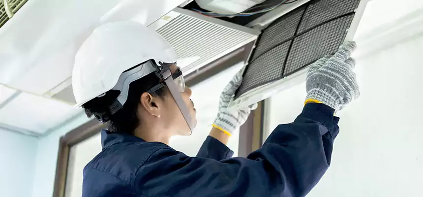 Our Mold & Mildew Removal from Air Ducts Services in Walla Walla, WA