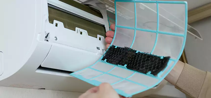 Gentle Ductwork Odor-Control Pet Dander Duct Cleaning in Walla Walla, WA