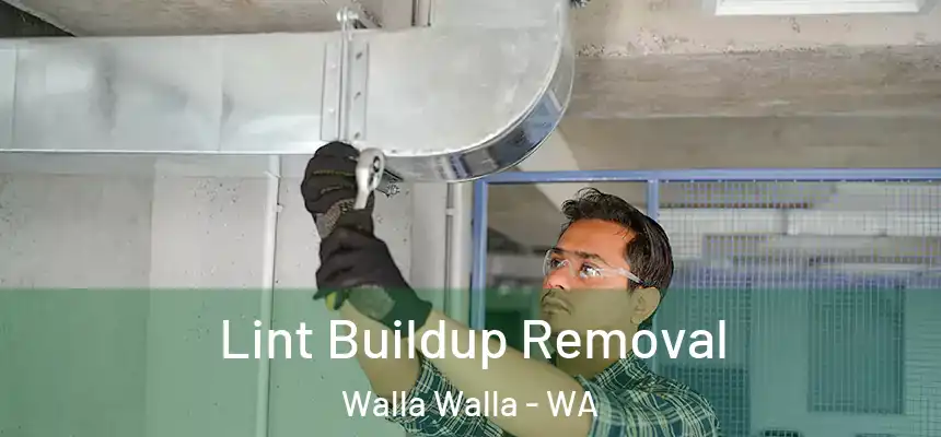  Lint Buildup Removal Walla Walla - WA