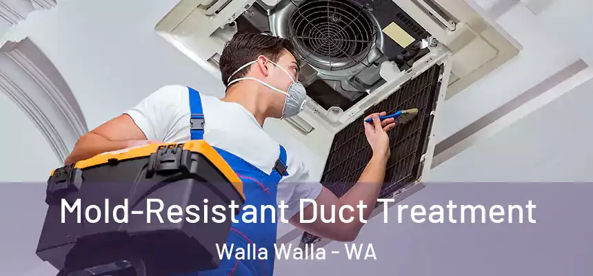  Mold-Resistant Duct Treatment Walla Walla - WA