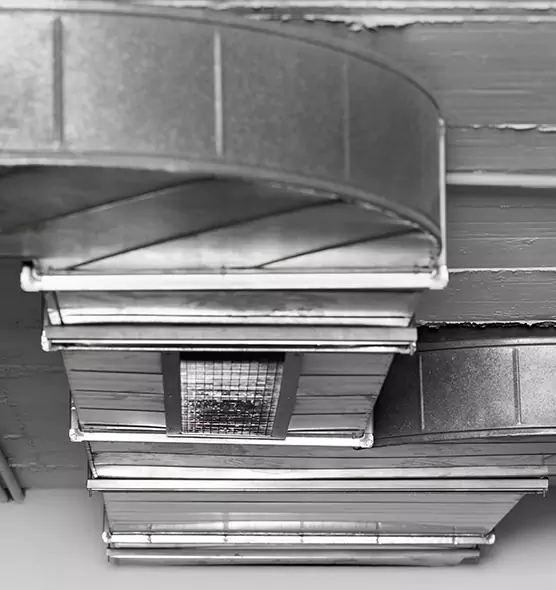 Professional Air Duct Pest Removal in Walla Walla, WA