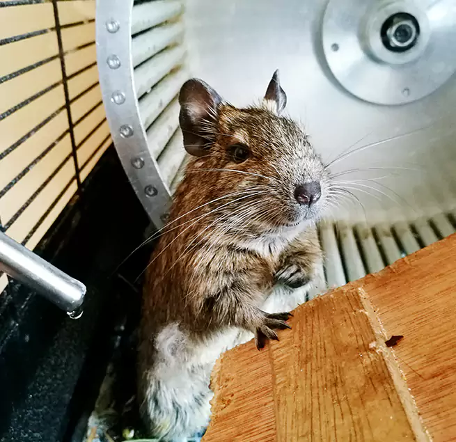 Why Homeowners & Businesses Trust Us Walla Walla, WA