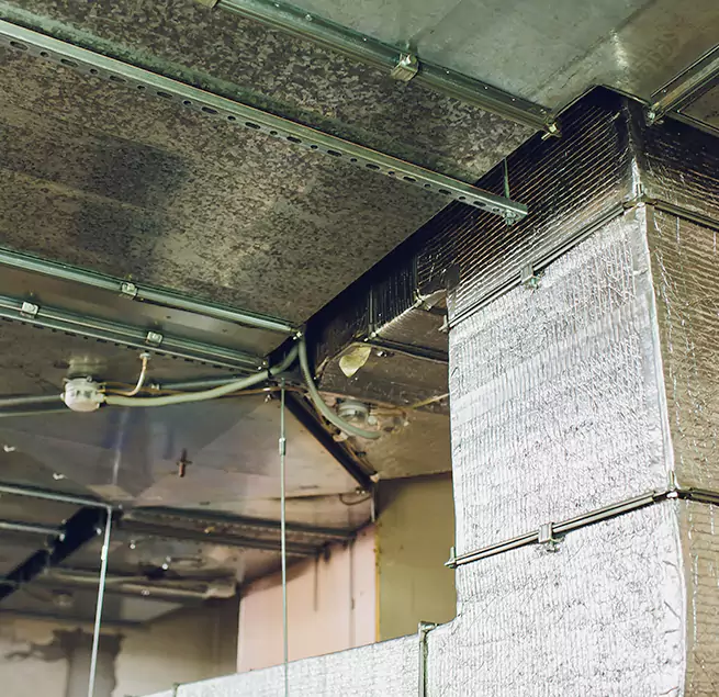 Why Homeowners & Businesses Trust Us in Walla Walla, WA?